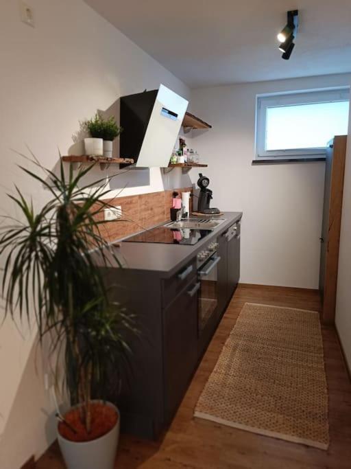 Altholzapartment In Kempten ヴァルテンホーフェン エクステリア 写真