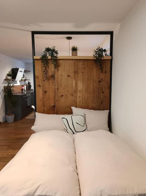 Altholzapartment In Kempten ヴァルテンホーフェン エクステリア 写真